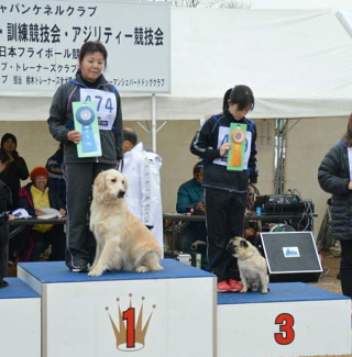 ST連合会 訓練競技会