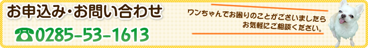 お申込み・お問い合わせ ワンちゃんでお困りのことがございましたらお気軽にご相談ください。