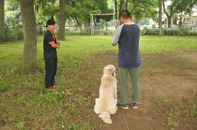 犬のしつけ方教室風景