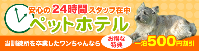 安心の24時間スタッフ在中ペットホテル