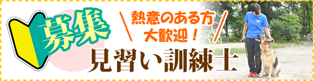 募集　熱意のある方大歓迎！見習い訓練士