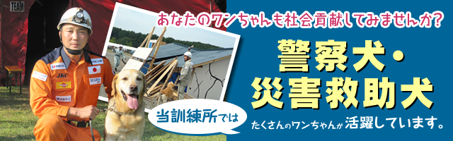 あなたのわんちゃんも社会貢献してみませんか？警察犬・災害救助犬