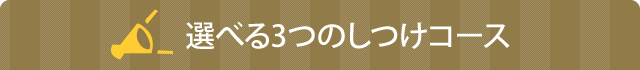 選べる3つのしつけコース