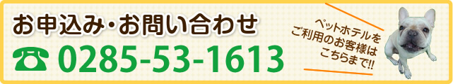 お申込み・お問い合わせ ペットホテルをご利用のお客様はこちらまで！！